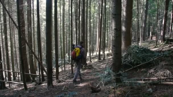 Ember Túrázás Erdőben Hátizsák — Stock videók