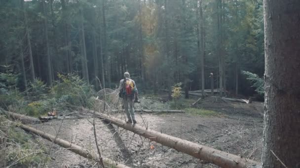 Man Wandelen Het Bos Met Rugzak — Stockvideo