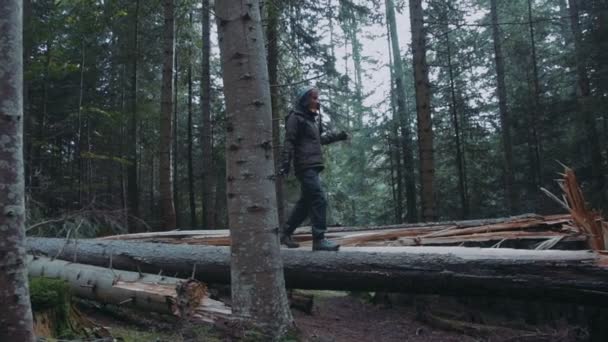 Genç Kadın Dağ Ormanda Yürüyüş — Stok video