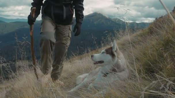 高加索男性徒步旅行在山与西伯利亚沙哑的狗 — 图库视频影像