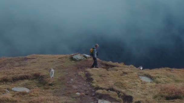 Kaukasisch Mannetje Wandelen Bergen Met Siberische Husky Hond — Stockvideo