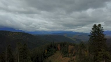 Alçak bulutlar ile günbatımı sırasında güzel Karpat Dağları manzara havadan görünümü