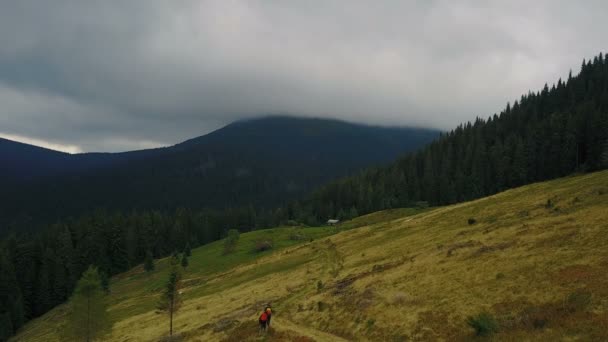 Luchtfoto Van Prachtige Karpaten Landschap Tijdens Zonsondergang Met Lage Wolken — Stockvideo