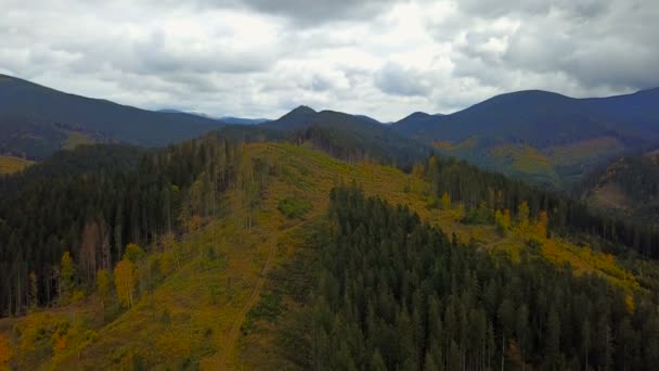 Vedere Aeriană Despăduririlor Munții Carpați Conceptul Problemelor Mediu — Videoclip de stoc