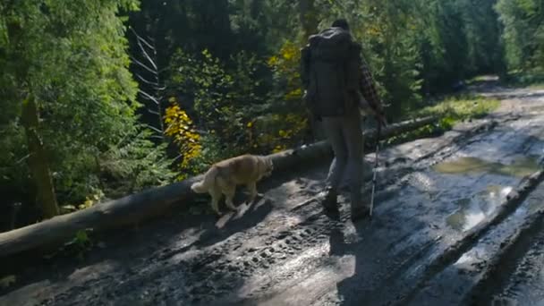 森のハイキングのバックパックとシベリアン ハスキーの犬と男性 — ストック動画