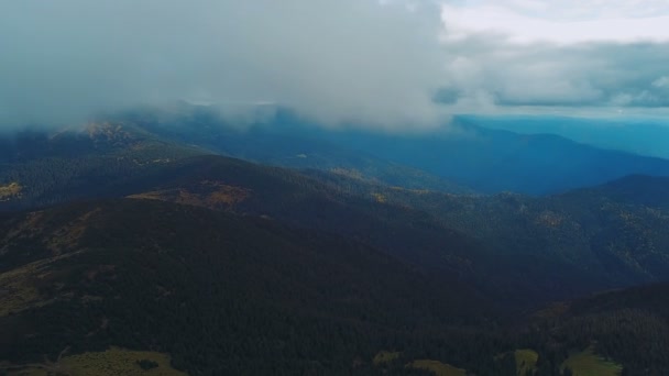 Αεροφωτογραφία Του Όμορφη Καρπάθια Όρη Τοπίο Στην Ομίχλη Των Νεφών — Αρχείο Βίντεο