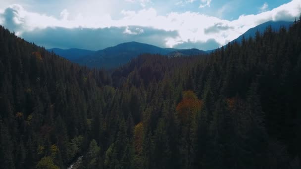 Luchtfoto Van Prachtige Karpaten Landschap Tijdens Zonsondergang — Stockvideo