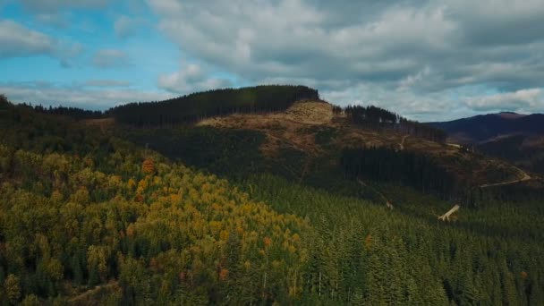 Vista Aerea Della Deforestazione Nelle Montagne Dei Carpazi Concetto Problemi — Video Stock