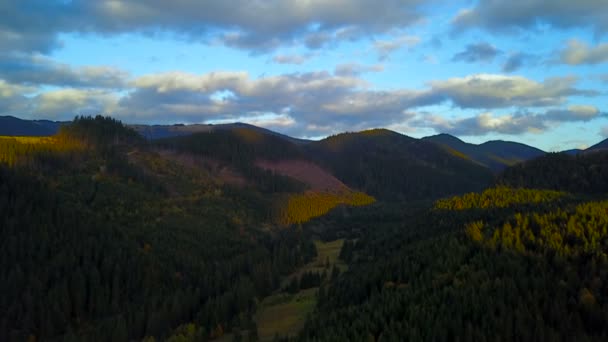 Vista Aérea Bela Paisagem Das Montanhas Cárpatas Durante Pôr Sol — Vídeo de Stock