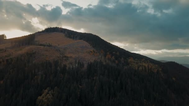 Letecký Pohled Odlesňování Karpatských Horách Koncept Ekologické Problémy — Stock video