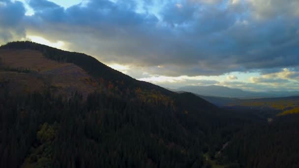 Aerial View Deforestation Carpathian Mountains Environmental Problems Concept — Stock Video