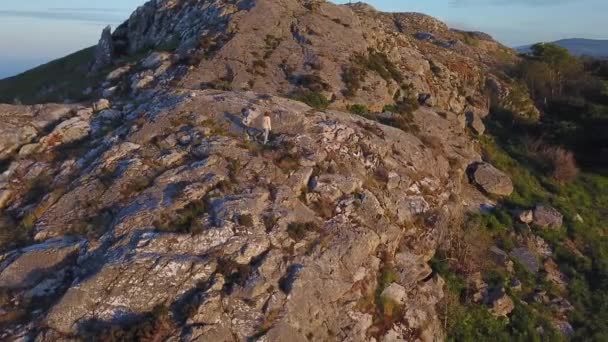 Vue Aérienne Beaux Paysages Montagnes Rocheuses Avec Une Jolie Femelle — Video