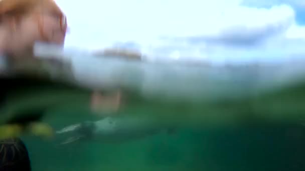 ブルーのきれいな水でかわいい野生のアザラシに濡れた金髪女性 — ストック動画