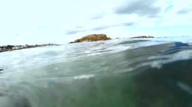 sevimli vahşi mühür mavi temiz su sualtı görünümünü