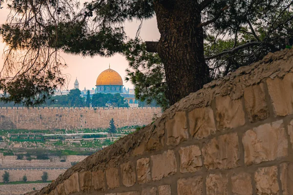 Панорамный вид на Старый город Иерусалима и Храмовую гору через дерево во время яркого красочного заката — стоковое фото