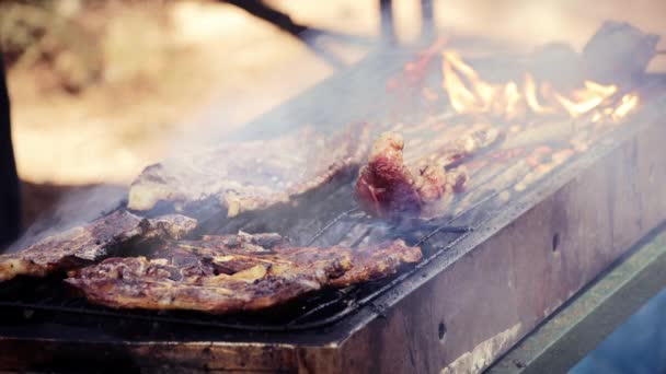 Moziban Füstöt Bocsátottak Egy Steak Sütéséből Egy Forró Grillsütőn Közelkép — Stock videók
