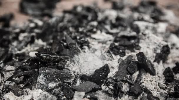 Cinemagraph Smoke Emitted Burnt Charcoal Ash Placed Ground Close Loop — Stock Video
