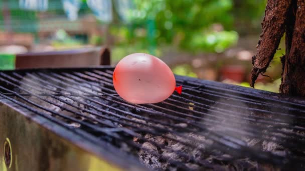 Cinémagraphe Fumée Émise Par Barbecue Chaud Avec Une Montgolfière Placée — Video