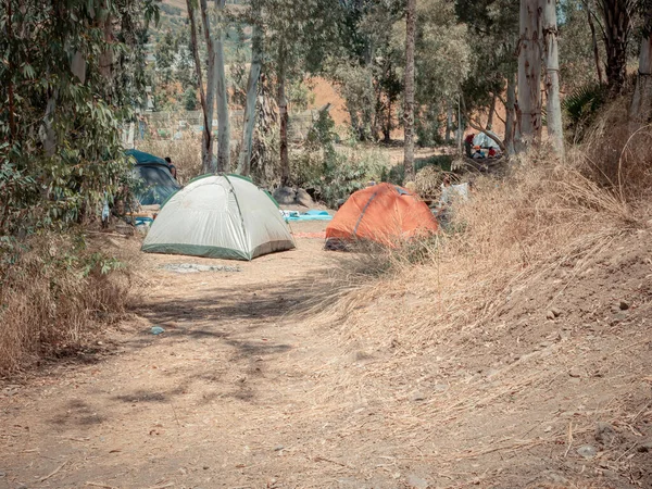 Many dome tents at a camping site near the Eucalyptus trees in Jordan Valley of Israel. Adventure vacation near the Jordan River on a sunny summer day. A sign symbolizing swimming is prohibited.