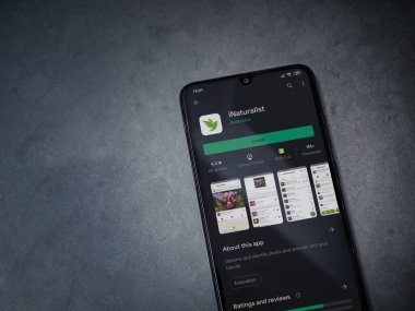 Lod, Israel - 8 Temmuz 2020: iNaturalist uygulama oyun mağazası sayfası koyu mermer taştan bir arka planda siyah bir cep telefonu ekranında. Üst görünüm düzlüğü kopyalama alanı ile yatıyordu.