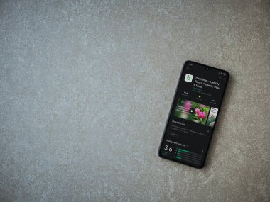 Lod, Israel - 8 Temmuz 2020: Bitkisel Snap uygulaması oyun mağazası sayfası seramik taş zemin üzerinde siyah bir cep telefonu ekranında. Üst görünüm düzlüğü kopyalama alanı ile yatıyordu.