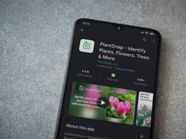 Lod, Israel - 8 Temmuz 2020: Bitkisel Snap uygulaması oyun mağazası sayfası seramik taş zemin üzerinde siyah bir cep telefonu ekranında. Üst görünüm düzlüğü kopyalama alanı ile yatıyordu.