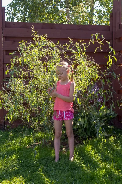 Meisje kijkt naar de bladeren op jonge wilg — Stockfoto