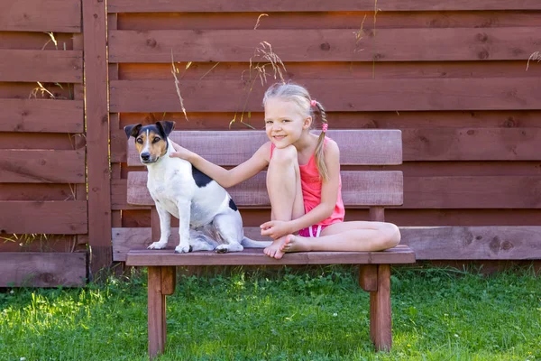 Ragazza con il suo cane seduto su una panchina di legno Fotografia Stock