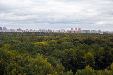 kuş bakışı ormanın arkasındaki şehir