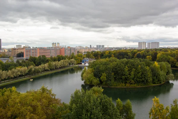 Eiland begroeid met bomen op een vijver in het stadspark — Stockfoto