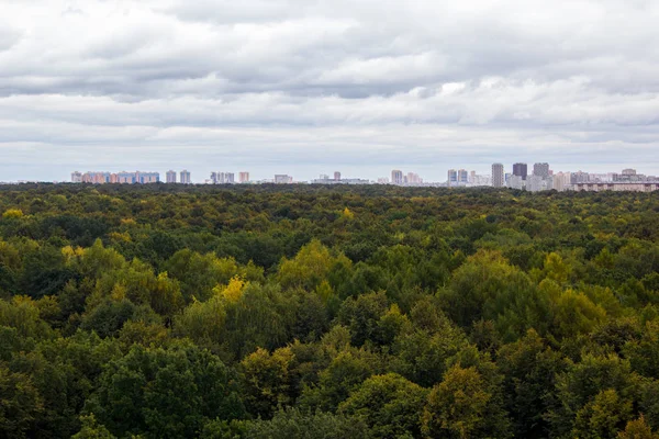 鳥の視点から見た森の後ろの都市 — ストック写真