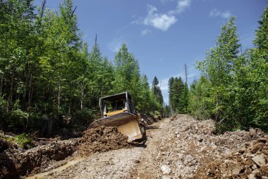 Bir yol inşaatı. Buldozer işte. Bir ormanı yok etmek. Kırık ve düşmüş ağaçlar. arka planda mavi bir gökyüzü ile. 