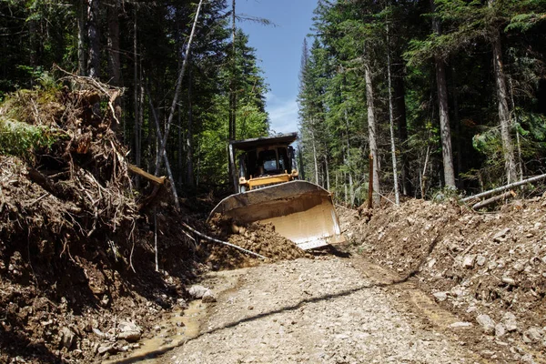 Bir yol inşaatı. Buldozer işte. Bir ormanı yok etmek. Kırık ve düşmüş ağaçlar. arka planda mavi bir gökyüzü ile. 