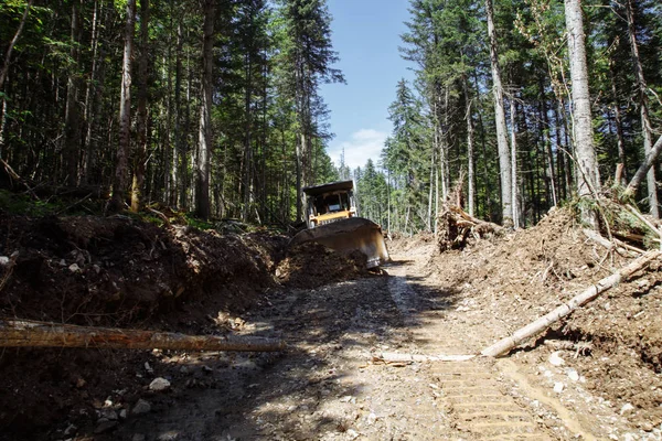 Bir yol inşaatı. Buldozer işte. Bir ormanı yok etmek. Kırık ve düşmüş ağaçlar. arka planda mavi bir gökyüzü ile. 