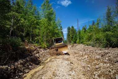 Bir yol inşaatı. Buldozer işte. Bir ormanı yok etmek. Kırık ve düşmüş ağaçlar. arka planda mavi bir gökyüzü ile. 