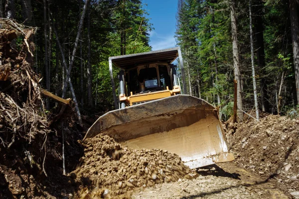 Bir yol inşaatı. Buldozer işte. Bir ormanı yok etmek. Kırık ve düşmüş ağaçlar. arka planda mavi bir gökyüzü ile. 