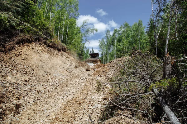 Bir yol inşaatı. Buldozer işte. Bir ormanı yok etmek. Kırık ve düşmüş ağaçlar. arka planda mavi bir gökyüzü ile. 