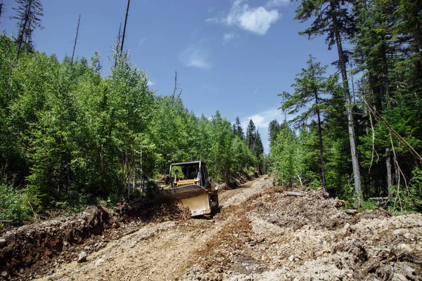 Bir yol inşaatı. Buldozer işte. Bir ormanı yok etmek. Kırık ve düşmüş ağaçlar. arka planda mavi bir gökyüzü ile. 