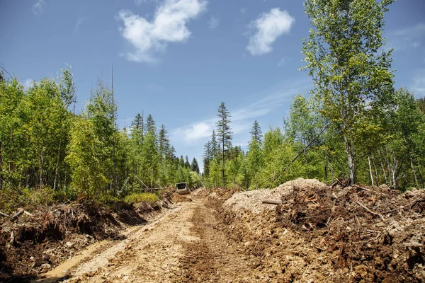 Bir yol inşaatı. Buldozer işte. Bir ormanı yok etmek. Kırık ve düşmüş ağaçlar. arka planda mavi bir gökyüzü ile. 