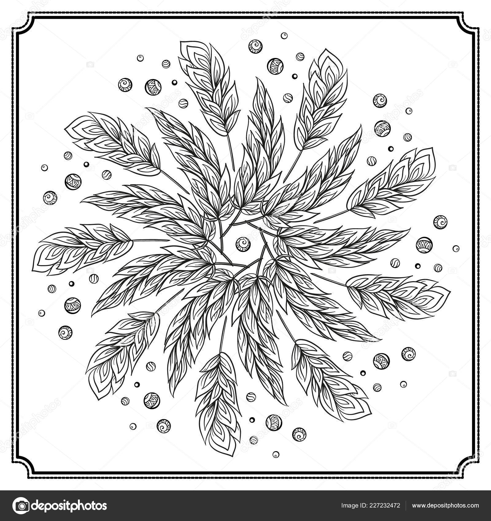 Download Vector Hand Drawn Feathers Black White Mandala Pattern ...