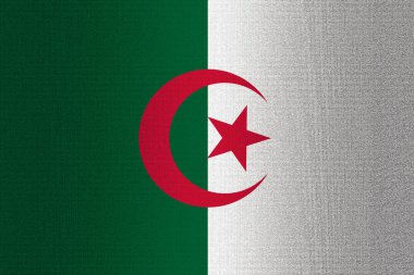 Cezayir bayrağı bir taş üzerinde arka plan duvar.