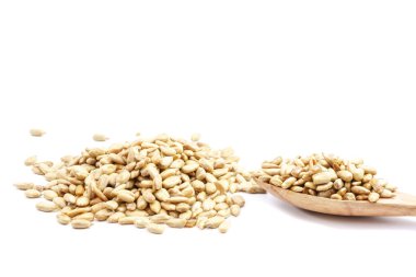 Beyaz bir arka plan üzerinde izole güneş çiçek tohum.