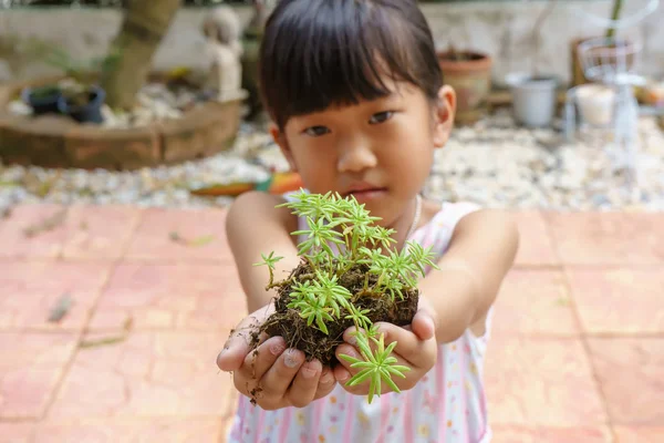 准备种植的树在手的女孩 — 图库照片