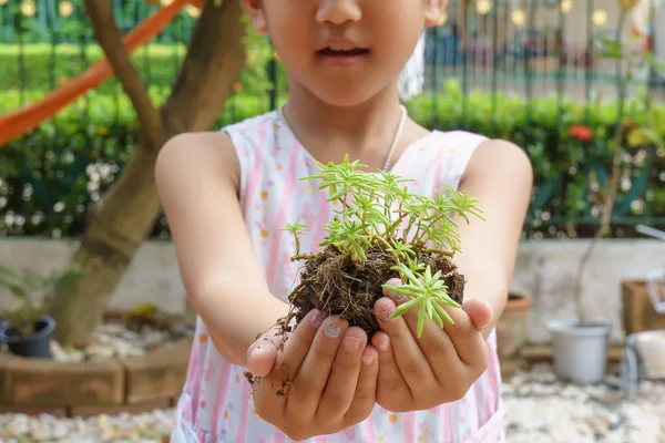 少女の手で準備された植わることのための木 — ストック写真