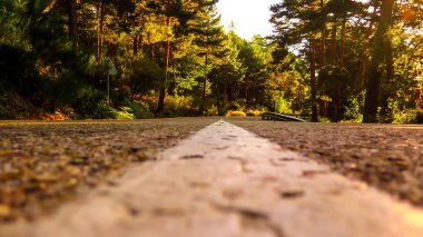 Ağaçların arasındaki Road, Cotos dağ geçmek, Madrid. İspanya