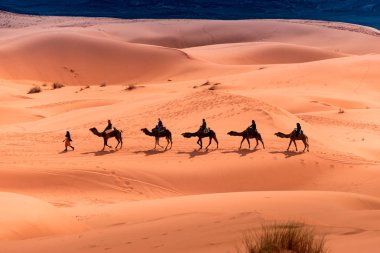 A guide and several tourists walking a camel through the desert. clipart