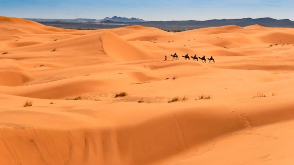Una Guida Diversi Turisti Piedi Cammello Attraverso Deserto — Foto Stock