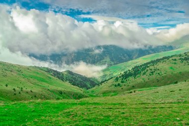 Sis vadiler ve Pyrenees.Spain çayırlar üzerinde gelişmeler.