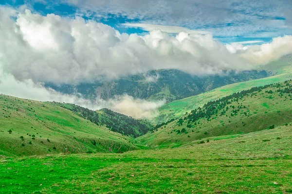 Mgła Przechodzi Przez Doliny Łąki Pyrenees Spain — Zdjęcie stockowe