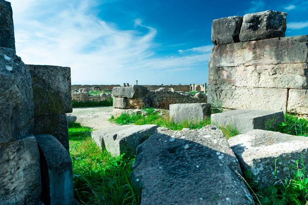 Volubilis Starověkého Římského Města Maroko Nejlepší Římská Archeologická Lokalita Severní — Stock fotografie